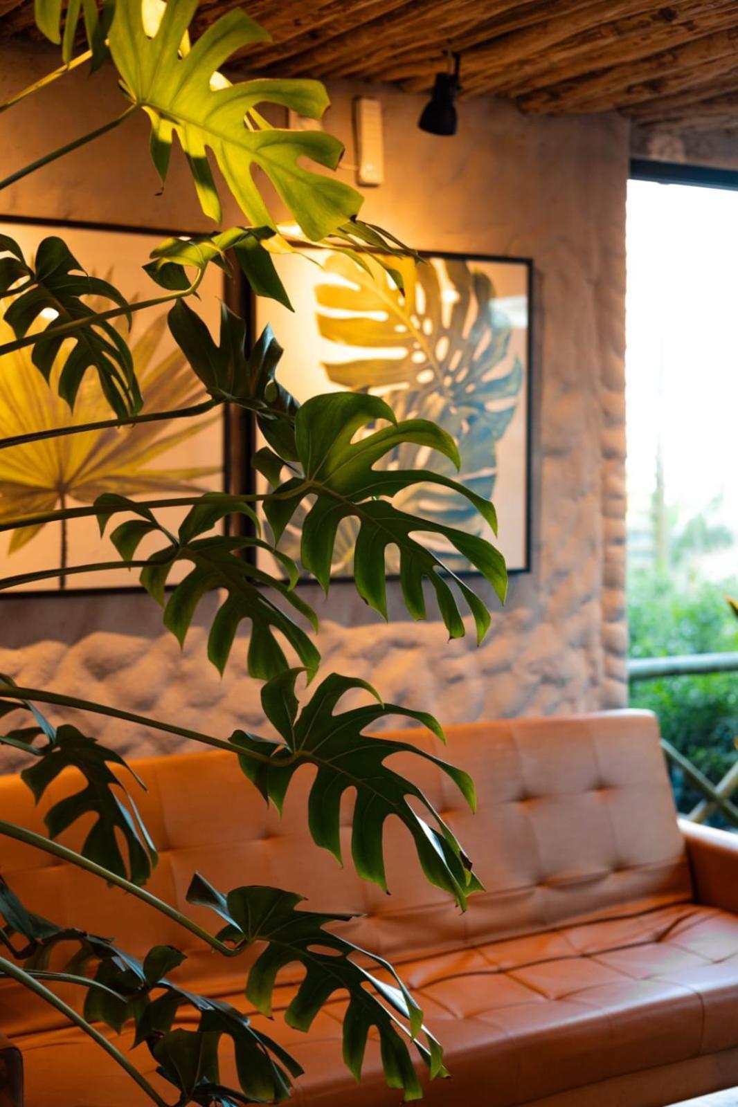 Vila De Taipa Exclusive Hotel Japaratinga Εξωτερικό φωτογραφία